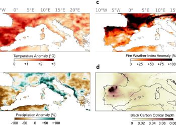 Incendi nel Sud Europa: condizioni a rischio raddoppiate dal 1981