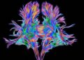 I neuroni sono tuttofare: la scoperta firmata Stefano Fusi