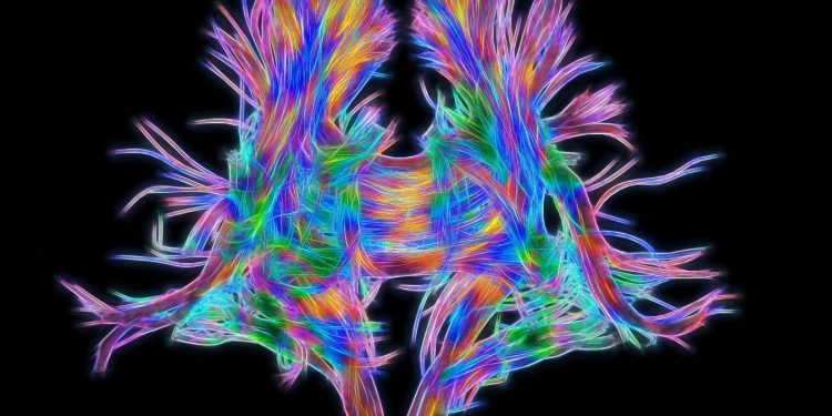 I neuroni sono tuttofare: la scoperta firmata Stefano Fusi
