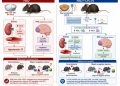 La lisolecitina di soia riduce ipertensione e deficit cognitivi da sale